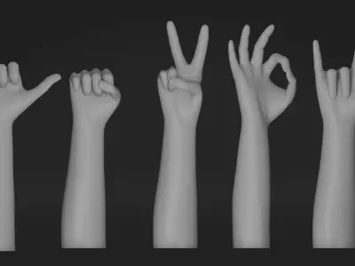 Realistic Hand-Rigged 3D model