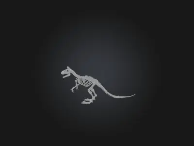 Realistic Tyrannosaurus Rex Skeleton Model Low-poly 3D model