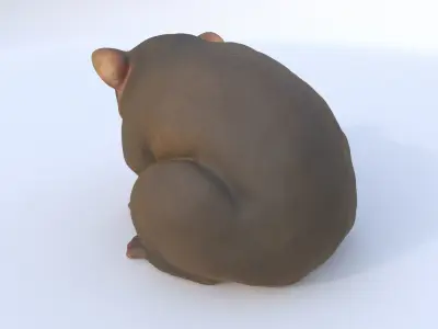 Kinkajou 3D model