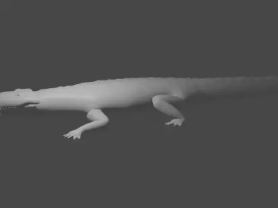 crocodile 3D model order