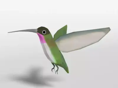 Low Poly Cartoon Hummingbird Low-poly 3D model