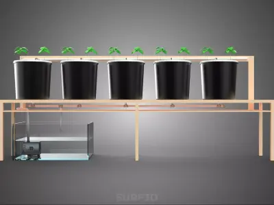 KIT BUCKET DUTCH BATO HYDROPONIC GROWING SYSTEM GARDEN PLANT DIY 3D model