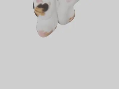 Cat Paws 3D model