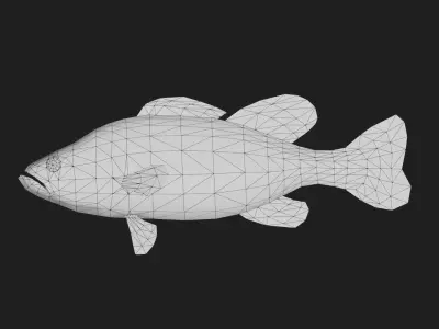 Spottedbass Low-poly 3D model