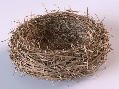 Bird Nest 3D model 2