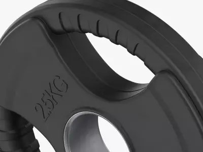 Weight Plate 2 5 KG 3D model