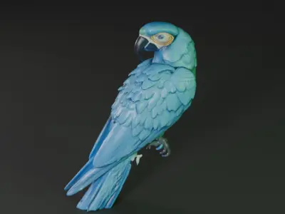 blue macaw 3D model purchase