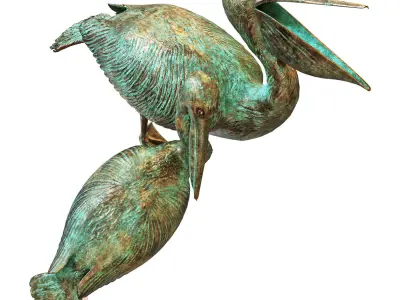 Pelicans 3D model