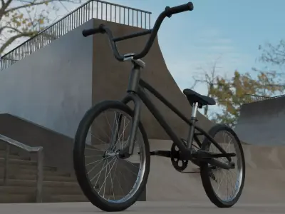BMX 3D Full Custom RIG Low-poly 3D model