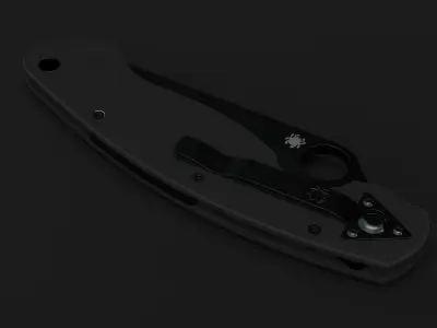 Spyderco paramilitary 3D model