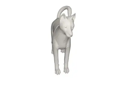 Husky chihuahua dog 3D model