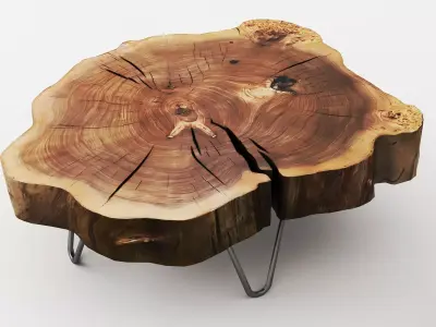 Live Edge Wood Slab Coffee Table Hairpin Legs Furniture Set PBR Low-poly 3D model