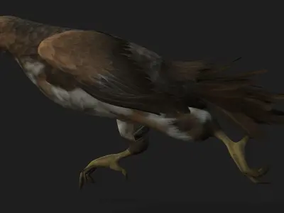 Kestrel B3 3D model