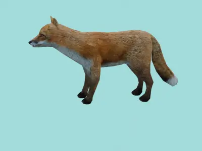 fox lowpoly 3d model 3D model purchase