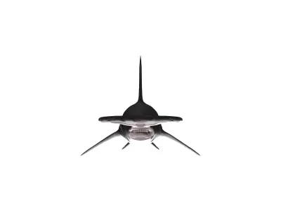 Hammerhead Shark Realistic Ocean Predator 3D Model 3D model