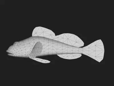 Sculpin Low-poly 3D model purchase