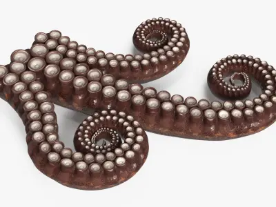  Marine Octopus Tentacles Curled 