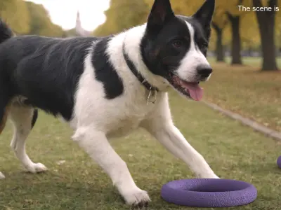 Interactive Dog Toy Puller Midi Used 3D model