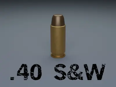 Common Bullet Types 3D model