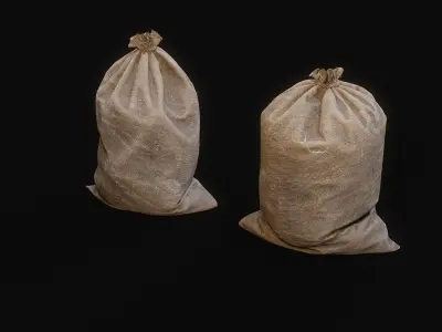 Sacks Low-poly 3D model purchase