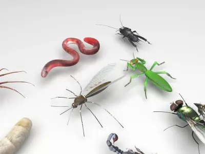Worms Set 3D model