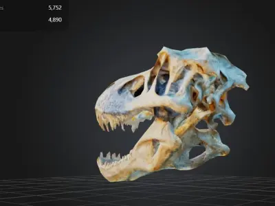 FREE T-Rex Skull Free low-poly 3D model