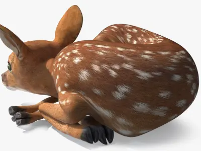  Resting White-Tailed Fawn Deer 