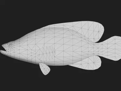 Grouper Low-poly 3D model shop