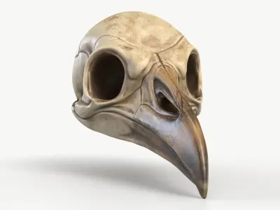 Bird Skull 2 3D model