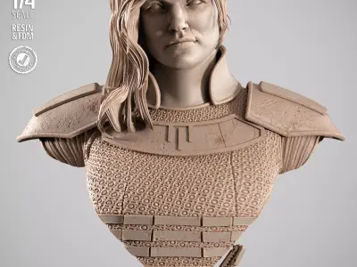 STAR WARS Care Dune Portrait Bust  3D print model purchase