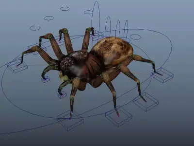 Spider Rigged Low-poly 3D model purchase