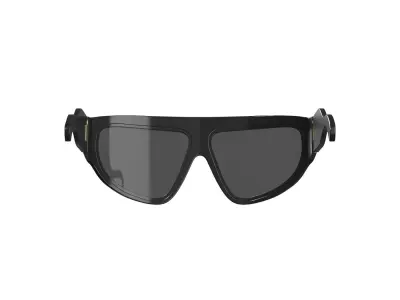 Matt Black Sunglasses 3D model