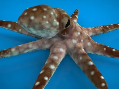 OCTOPUS Low-poly 3D model