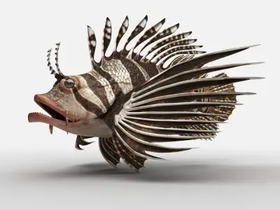 Scorpion fish Scorpen-1 Low-poly 3D model