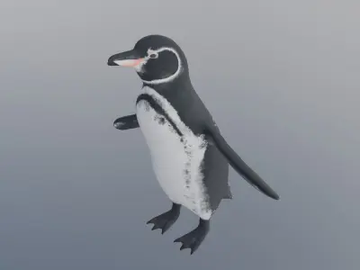 penguin 3D model 2