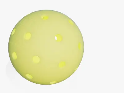 Outdoor Pickleball 3D model