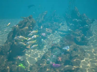 Reef 03 3D model
