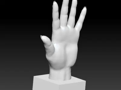 Woman hand 3D print model