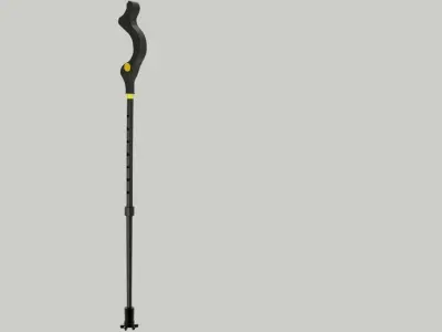 campbell walking stick 3D model