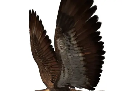 eagle 3d rig model 3D model