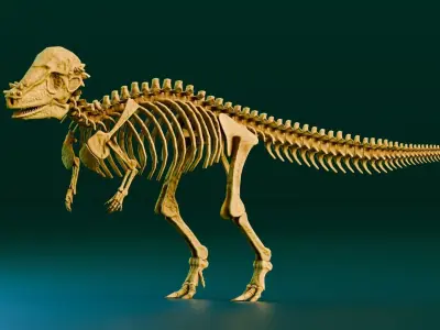 Realistic Ancient Reptilians Fossil - Pachycephalosaurus Low-poly 3D model