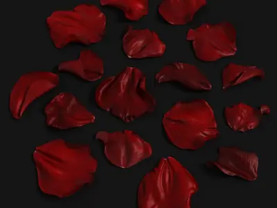 Rose Petals Extended Rebuild 3D model