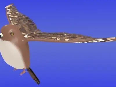 Brown sparrow hawk Low-poly 3D model