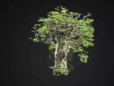 Great Spirit Oak with Shrine  Fantasy Tree Botanical Designs  Low-poly 3D model