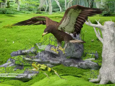 Eagle Attack 2 - 4K 3D model