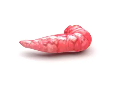 Red Maggot 3D model