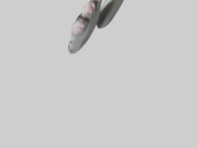 Cat Paws Model 3D model