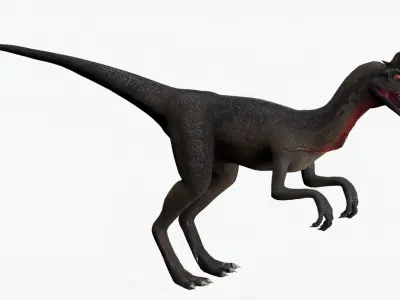 Basic Rigged Dilophosaurus With 4K Textures Low-poly 3D model