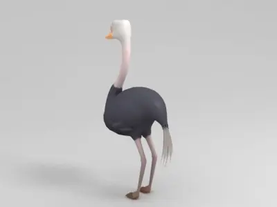 Ostrich in suit 3D model purchase