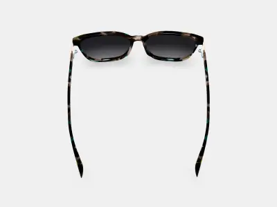 Esme Sunglasses in Aventurine Tortoise with Polished Gold 3D model